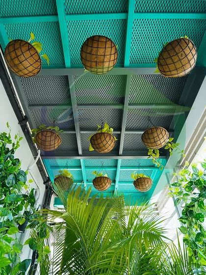 Looking up into a corridor filled with greenery. We used a combination of hanging baskets, climbing ivy on the walls, and a green-painted ceiling grid to create a fully immersive natural experience from every angle.