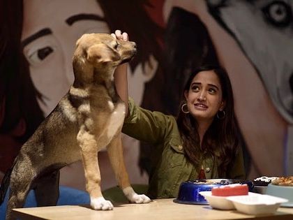 A gentle pat for Bugs as he stands at the table, ready for his meal. He has the sweetest eyes.