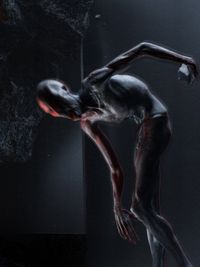 Custom 3D Art Commissions