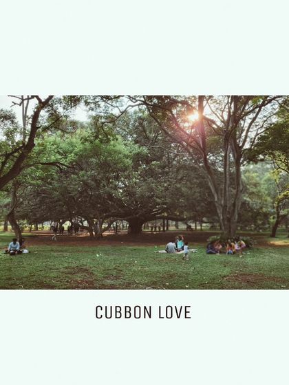A beautiful shot of the scene at Cubbon Park, a place of so much love and connection. It's more than just a park; it's a sanctuary for creative souls.