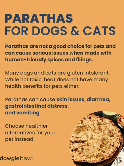 Parathas are not a good choice for pets, especially if made with spices and oils. Many pets are gluten intolerant, and this can lead to skin issues and digestive distress.
