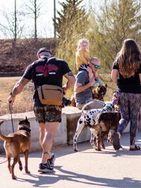 Pack Walks