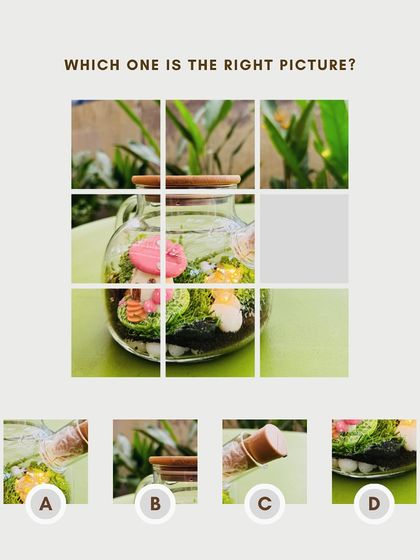 Gifts That Grow photo 8