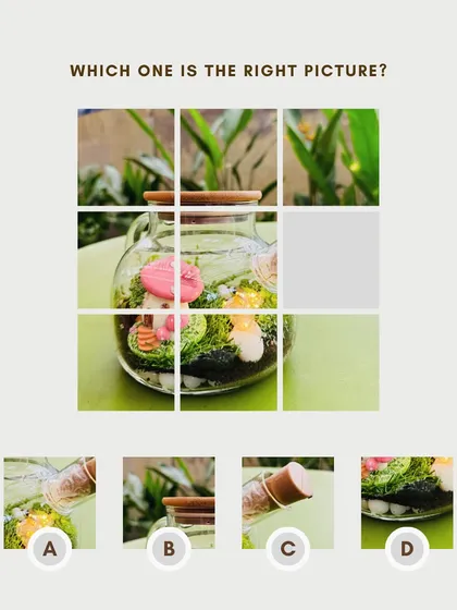 Something's missing from this terrarium puzzle. Can you guess which piece fits? Our terrariums are fun to look at and even more fun to have.