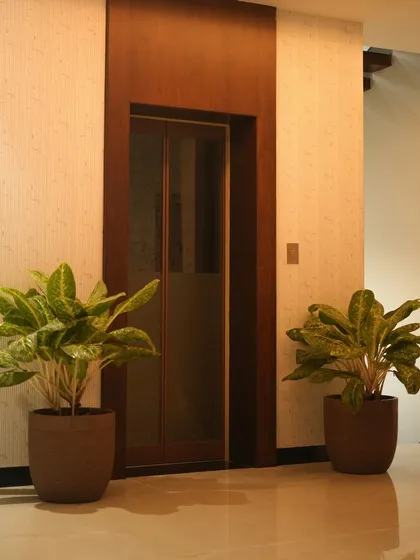 Symmetrical design can bring a sense of calm and order. Here, two matching Aglaonema plants in textured brown pots elegantly frame a residential elevator, enhancing the hallway's aesthetic.