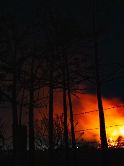 Farmlands ablaze at night. This stubble burning after the wheat harvest contributes to air pollution and destroys nesting grounds for many birds.