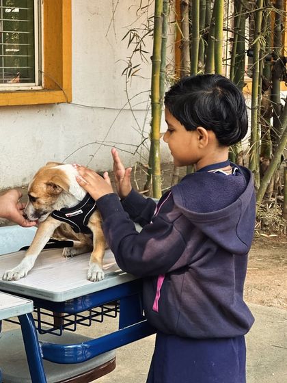 Oh My Dawg - Animal Welfare & Adoption Services Our Adoption Drives photo 48