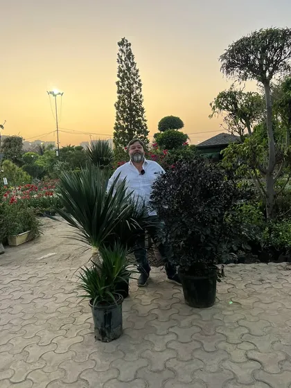 Yeh Yucca aur Black Radermachera ke plants dekhiye. Yeh dono hi kam dekhbhaal mein aapke garden ko ek alag look denge.