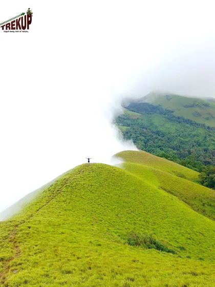 A lone trekker on a green hill on the Netravathi trail, with a sea of white clouds behind.