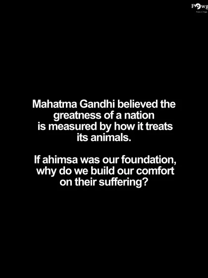 We invoke Mahatma Gandhi's belief that a nation's greatness is measured by how it treats its animals, questioning why a culture founded on 'ahimsa' builds comfort on their suffering.