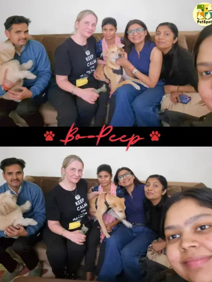 A farewell photo with Bo-Peep and her new mom, Linda. Our entire team gets attached to the pets we care for, and saying goodbye before her flight to Belgium was bittersweet.