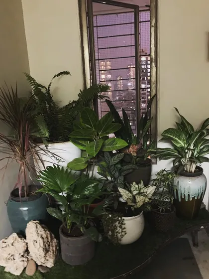 This photo shows how a well-designed green corner can transform a space even at night. The plants create beautiful silhouettes against the window, bringing the calm of nature indoors against the backdrop of the city lights.