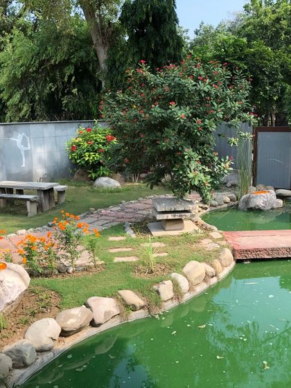 The tranquil pond and garden at Yogakshema. This serene environment helps to calm the mind and prepare the body for a deep and focused practice.