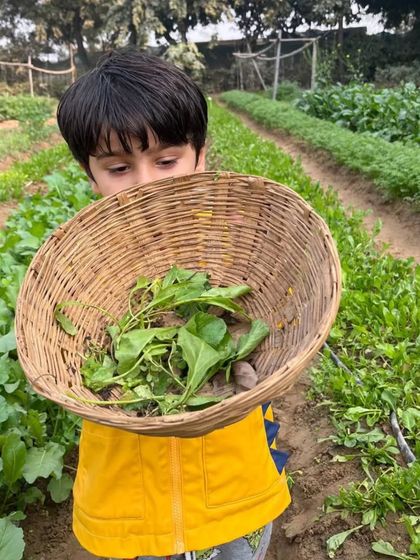 Farmus - Private Parties & Events Hands-On Farm Fun photo 22