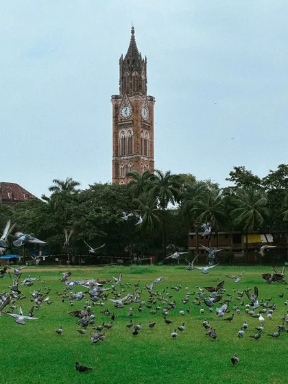 The Rajabai Clock Tower stands tall over a lush, green Oval Maidan, filled with pigeons taking flight. This is the classic, moody vibe of South Bombay during the monsoon.