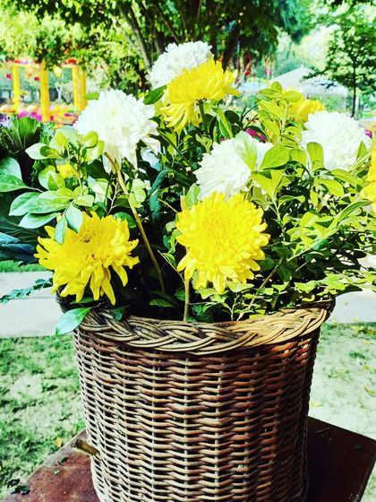 Vibrant Haldi & Mehendi Celebrations photo 70