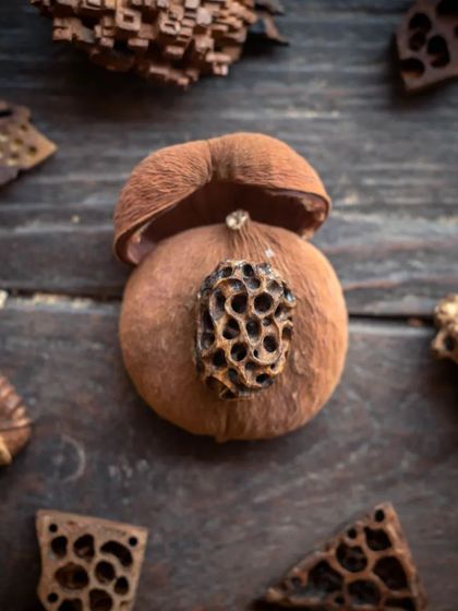 An organic, pod-like artifact created during our whittling workshop. We encourage you to explore natural forms and let the wood guide your creation.