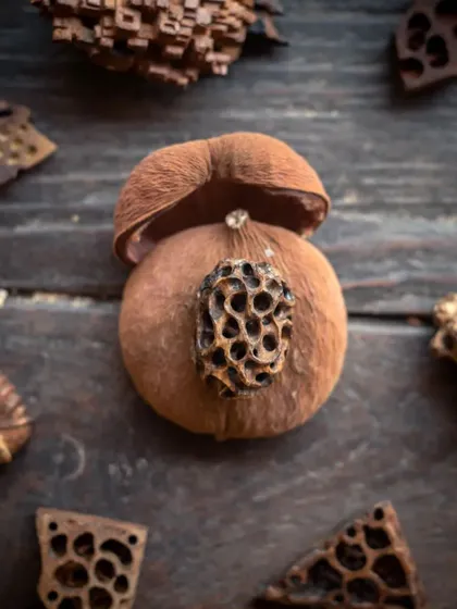 An organic, pod-like artifact created during our whittling workshop. We encourage you to explore natural forms and let the wood guide your creation.