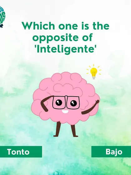 What is the opposite of 'inteligente' (intelligent) in Spanish? Test your knowledge of adjectives.