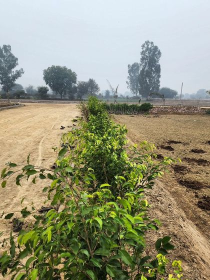 Delhi Gardner - Full-Service Landscaping Our Process: From Concept to Creation photo 30