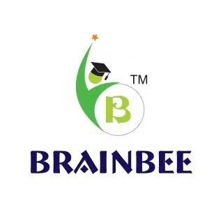Brainbee Kids Academy