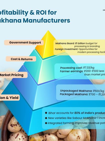 Understanding the profitability and ROI for makhana manufacturing is crucial. This pyramid breaks down the costs, market pricing, and government support available, which I help my clients leverage for success.