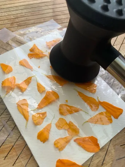 Spreading out marigold petals before pounding them onto paper. This method creates a lovely, abstract pattern of colour, almost like a watercolour painting.