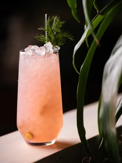 A pretty-in-pink cooler, this tall drink is garnished with fresh dill, adding an unexpected herbaceous note to the refreshing flavor profile.