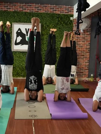 Shashi Prabha Dwivedi - In-Studio Group Yoga for Adults (All Levels) Our Studio: All Ages, All Bodies, All Welcome photo 20