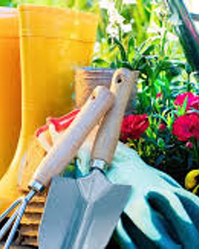 Garden Maintenance