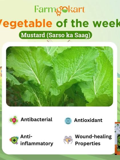 Grow Your Own Vegetables photo 18