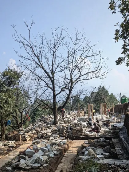 The process of stacking stones continues under a bare tree in Uttarakhand. The sheer volume of stone required for these projects highlights our commitment to using local, natural materials as the primary building block.