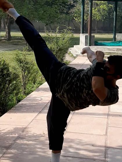 Dynamic Kicks & Power Strikes photo 3