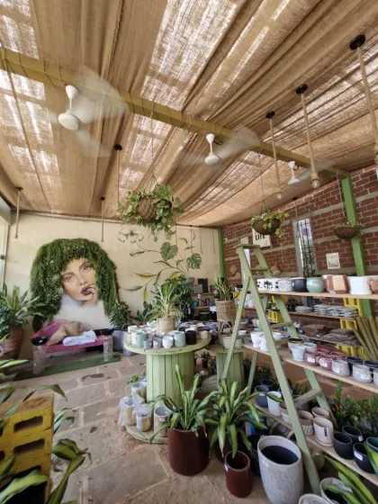 Another view of our beautiful mural and the green spool table, showcasing a variety of planters and pots. Every corner has something new to discover.