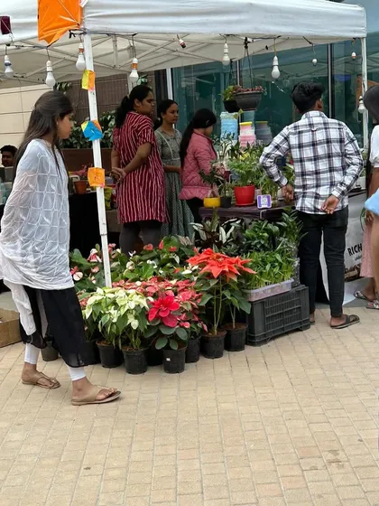 A view of the crowd and activity around my stall at a local event. It's a great way for me to connect with the community and share my love for plants.