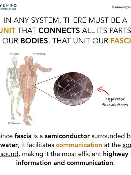 Body & Mind PhysioPilates Studio - Physical Therapy & Rehabilitation Understanding Your Body: Educational Insights photo 38