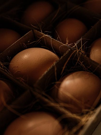 Food & Beverage Stories photo 17