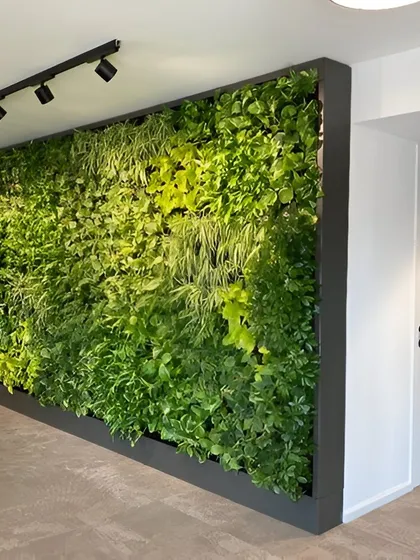 An expansive green wall integrated into a modern office corridor, turning a simple walkway into an immersive natural experience. The installation is complemented by track lighting to ensure the plants thrive and the wall remains a dramatic feature.