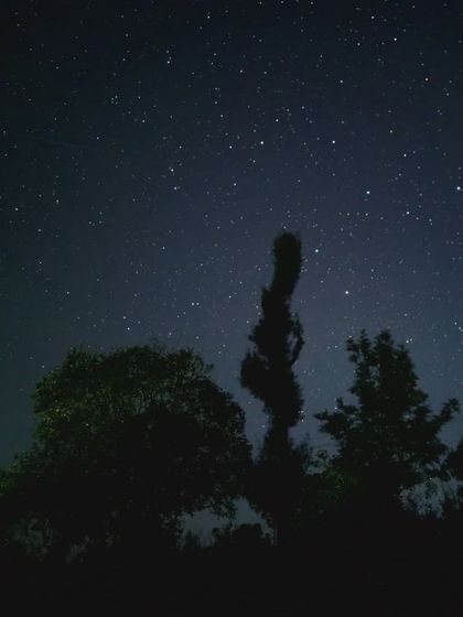 The beautiful night sky full of stars, as seen from our campsite during the Kumara Parvatha trek.