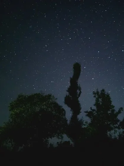 The beautiful night sky full of stars, as seen from our campsite during the Kumara Parvatha trek.