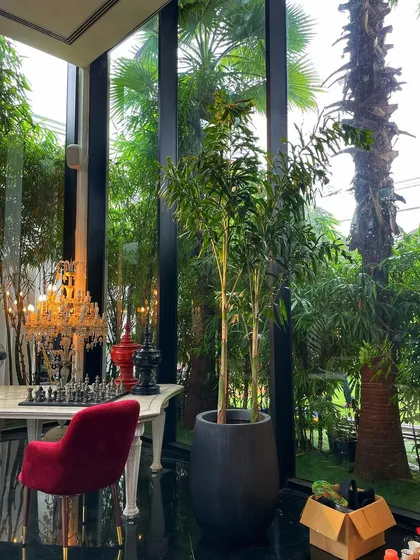 This shot shows how I use tall plants to complement the grand architecture of a set. The greenery draws the eye upwards and works with the natural light from the large windows.