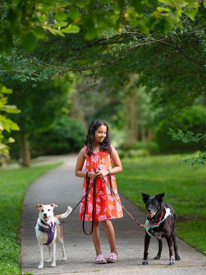 A girl confidently walking her two dogs down a park path. This photo tells a story of friendship and responsibility.