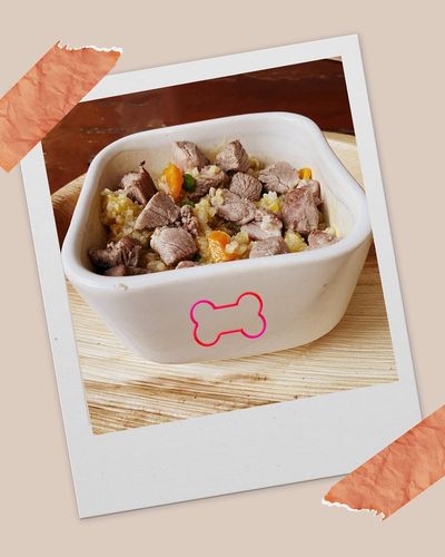 Fresh Dog Meal Plans