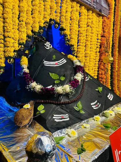 An offering of a coconut and flowers sits at the base of the decorated Shiva Lingam, completing the devotional setup against a backdrop of marigold garlands and a celestial blue cloth.