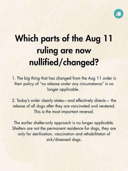 The Pack - Pet Parent Education & Workshops Awaara Nahi, Humara Hai: Community Dog Advocacy photo 21