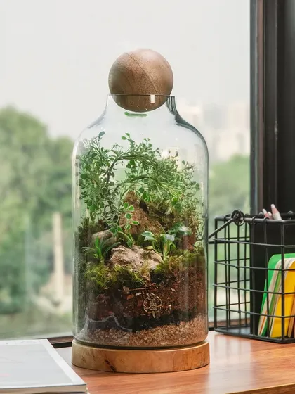 This tall cylindrical terrarium sits beautifully on a desk next to a window, bringing nature into your workspace. It's a perfect green gift for the festive season.
