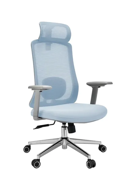 This ergonomic executive chair features a breathable mesh back, adjustable headrest, and lumbar support. This model is in a stylish light blue color.