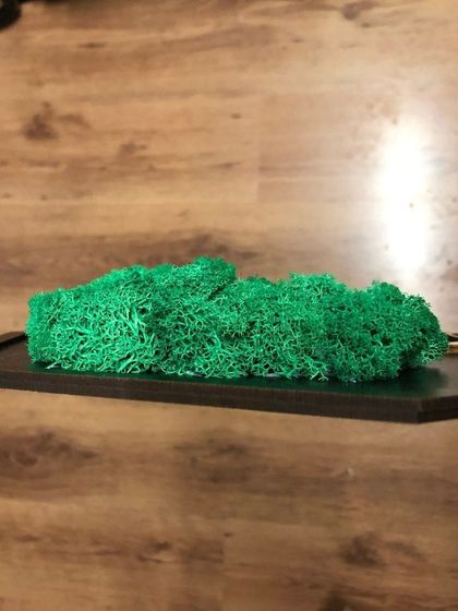 Best of Bharat - 3D & Sculptural Wall Art Preserved Moss Art photo 7