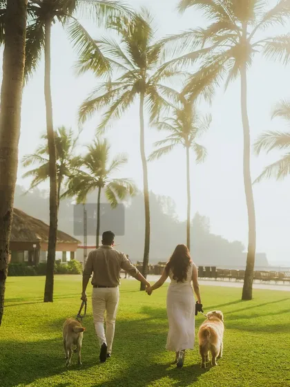 A couple walks away from the camera through a sunlit grove of palm trees in Goa, holding hands, each walking a beautiful golden retriever. This is a perfect example of a pet-friendly family portrait session.