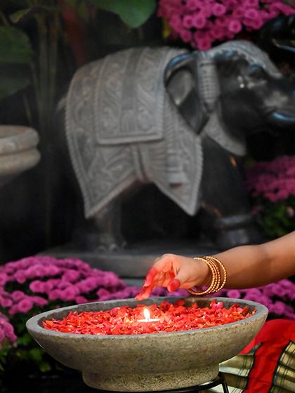 Greenhouse - Curated Artisan & Vintage Decor Our Curated Spaces & Store Vibe photo 4